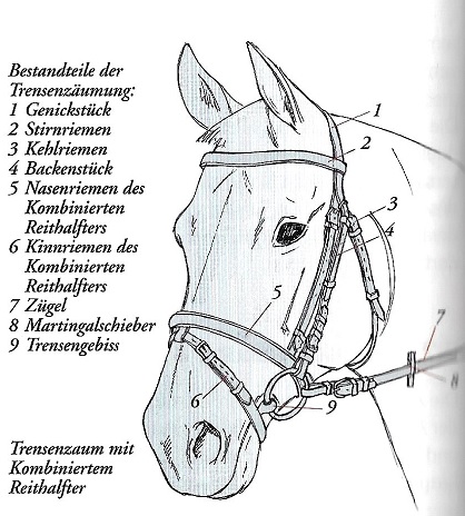 Trensenzaum