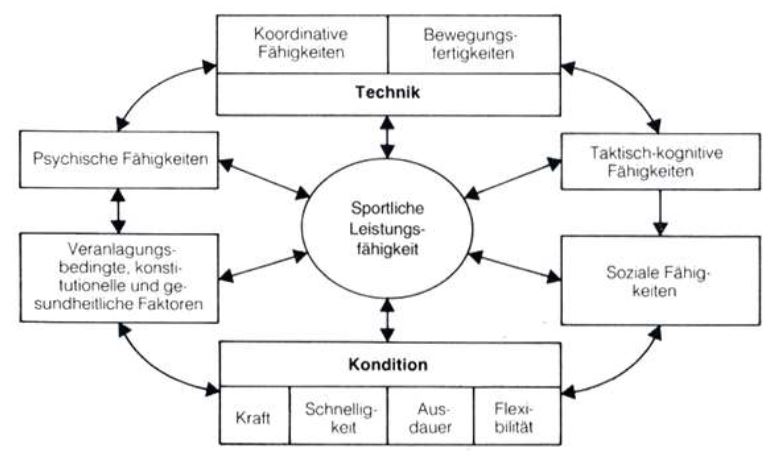 Komponenten der sportlichen Leistungsfähigkeit