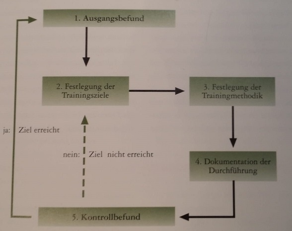 Trainingssteuerung